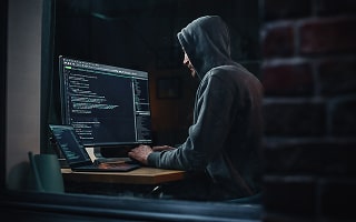 The Two-Pronged Impact of Botnets